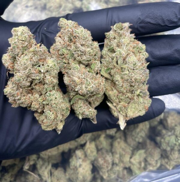 Critical Lemos