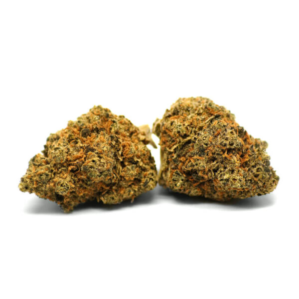 Gelato2