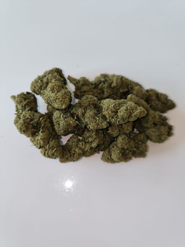 Mimosa 3