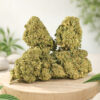 Mimosa CBD