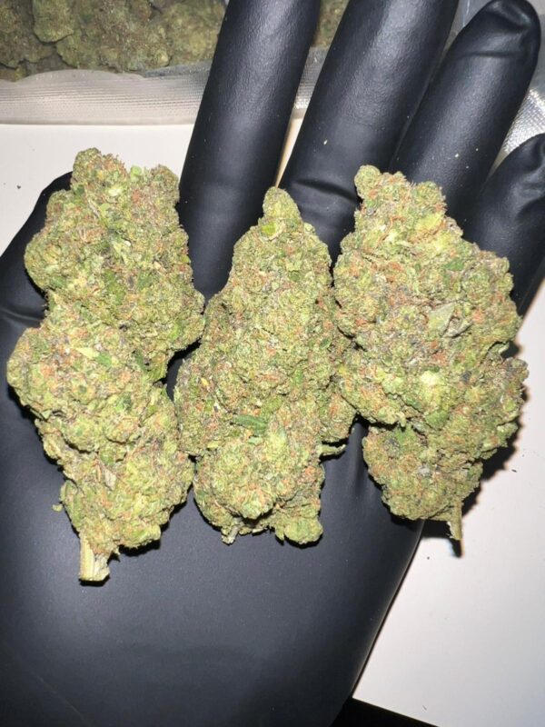 Royal Haze Hydro CBD - Imagen 2