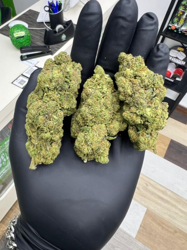 Royal Haze