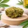 Tropical Fruit Small Buds CBD