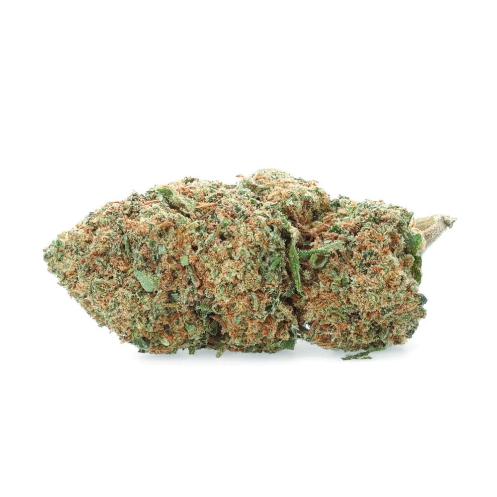 harlequin cbd indoor