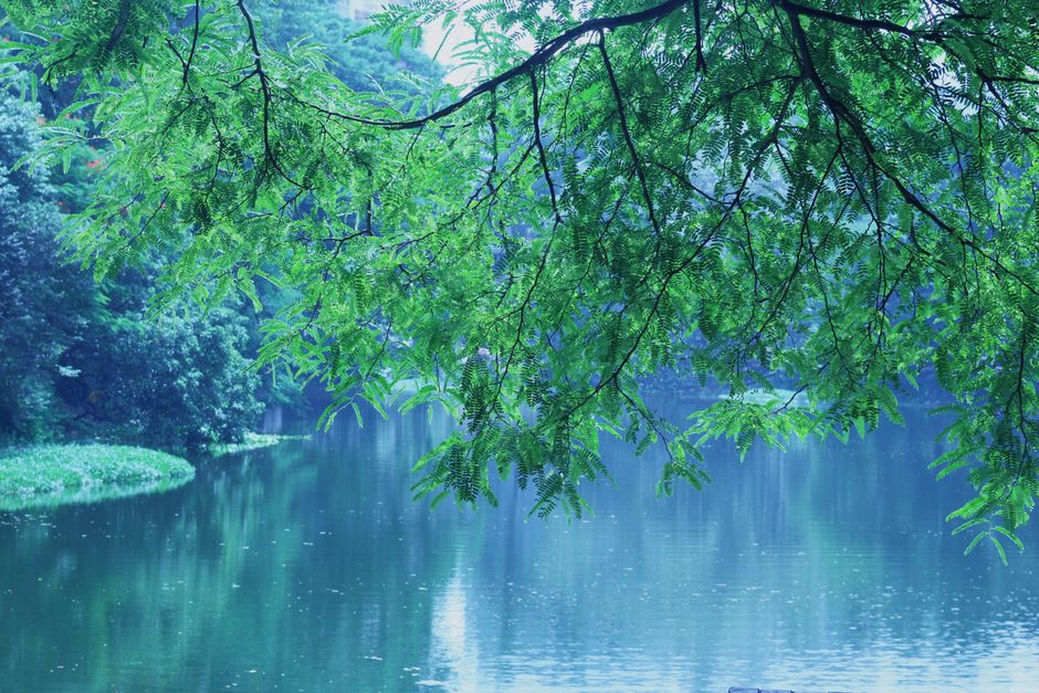 Fotos de stock gratuitas de agua, al aire libre, arboles
