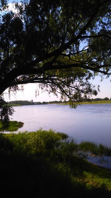 Un Lago Cerca De árboles Verdes 