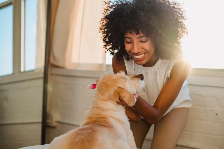 Perro Acariciando Alegre Mujer Negra En Casa