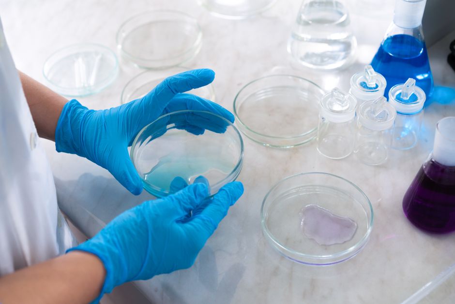 Primer plano de un científico con guantes azules trabajando con placas de Petri en un entorno de laboratorio.