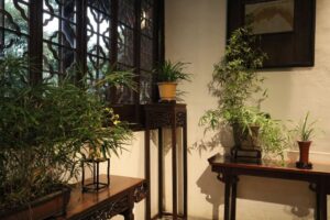 Ambiente interior sereno con bambú en macetas y muebles de madera de intrincado diseño bajo luz natural.