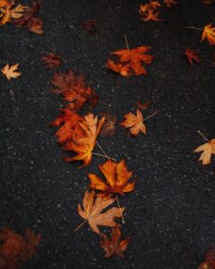 Fotos de stock gratuitas de @al aire libre, 4k background, 4k wallpaper