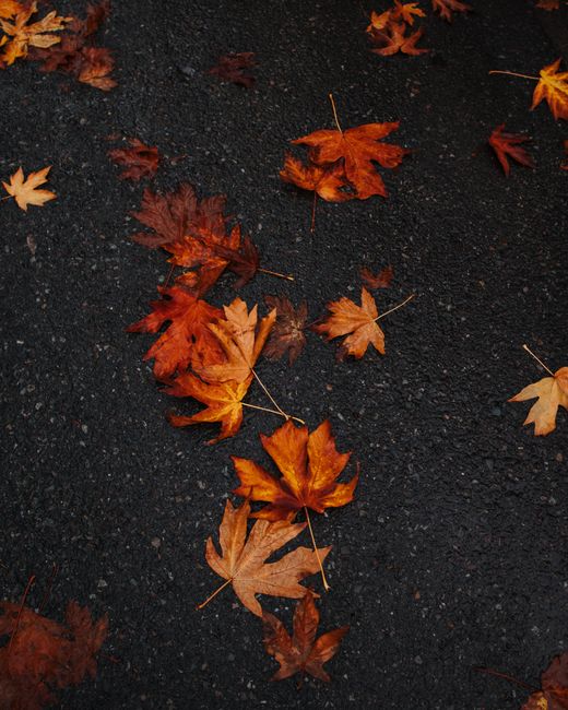Fotos de stock gratuitas de @al aire libre, 4k background, 4k wallpaper