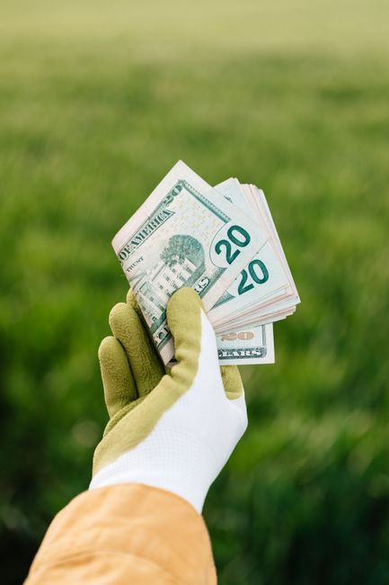 Mano con guante mostrando billetes de veinte dólares con fondo de campo verde.